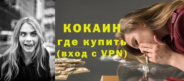 прущие грибы Нижний Тагил