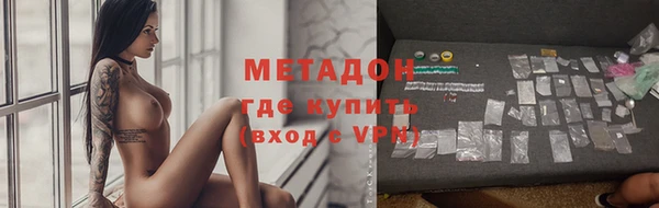 прущие грибы Нижний Тагил
