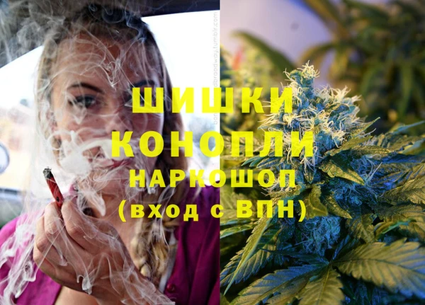 apvp Коряжма