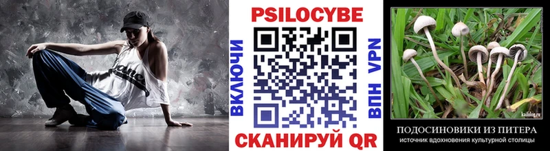 Псилоцибиновые грибы мицелий  маркетплейс формула  Северо-Курильск 